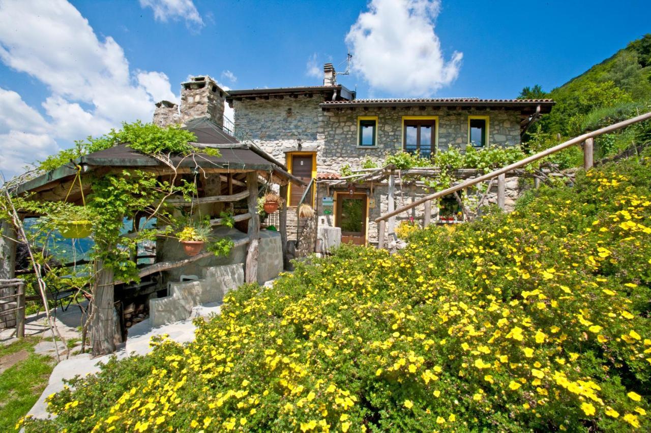 Agriturismo Al Marnich Schignano Kültér fotó