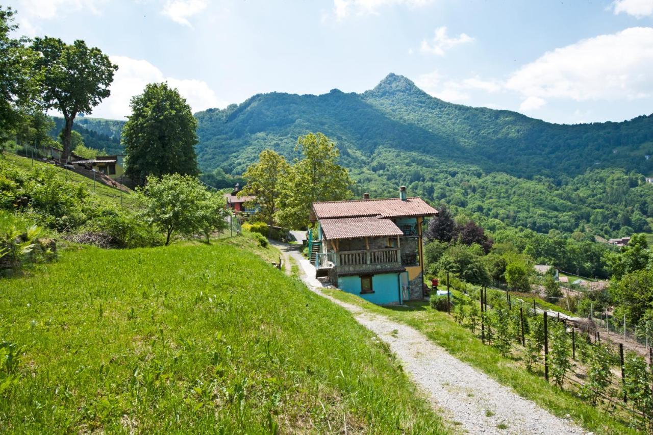 Agriturismo Al Marnich Schignano Kültér fotó